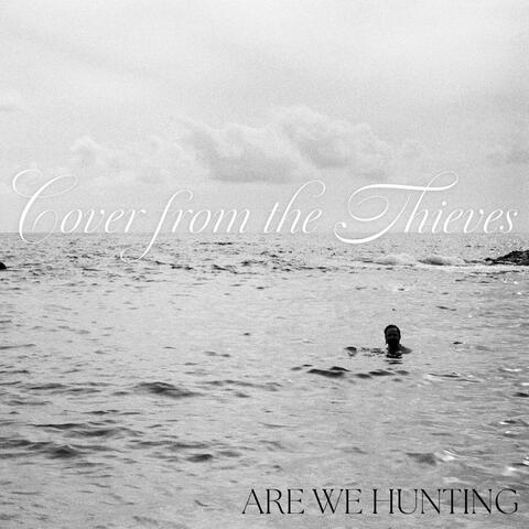 Cover from the Thieves