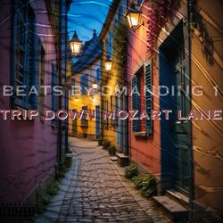 TRIP DOWN MOZART LANE