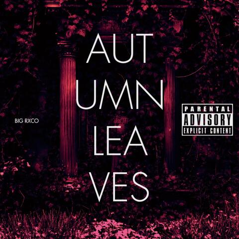 Autumn leaves