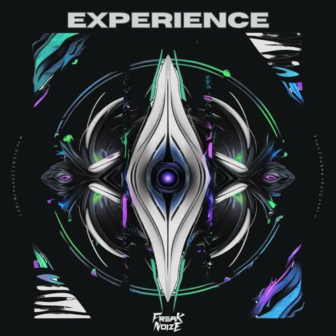 Experience