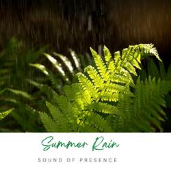 Summer Rain