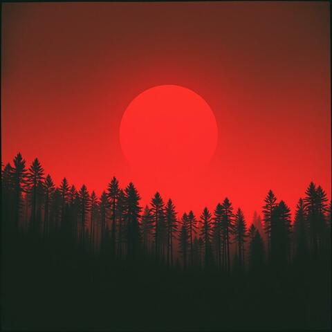North American Wildfires