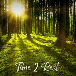 Starry Dreams Gentle Musical Ambience for Peaceful Nights and Deep Sleep