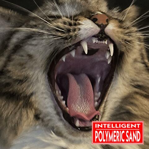 Intelligent Polymeric Sand