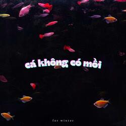 Cá Không Có Mồi