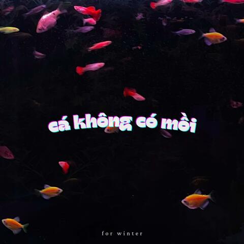 Cá Không Có Mồi