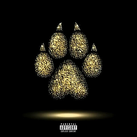Dirty Kats Return
