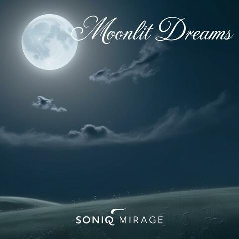 Moonlit Dreams
