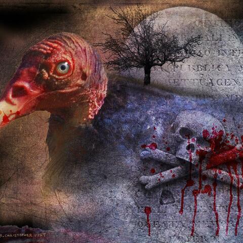 Vultures