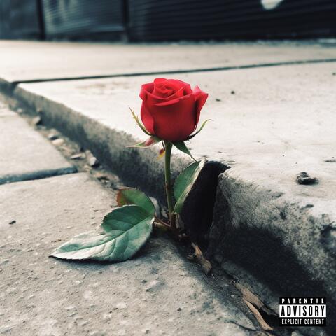 HELD HIGH (feat. prod.myles)