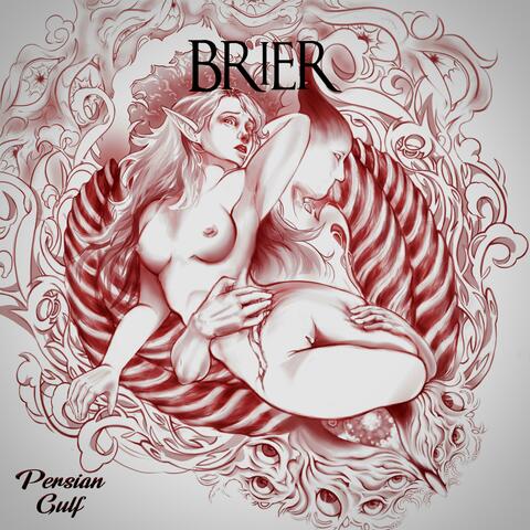 Brier