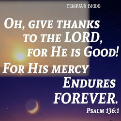 Thank You, LORD! (Psalm 136)