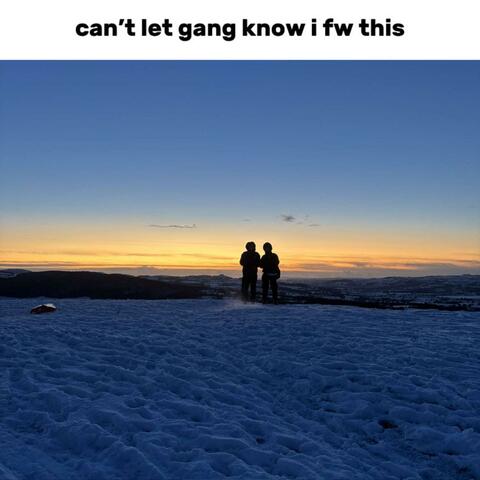 cant let gang know i fw this