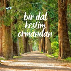 Bir Dal Kestim Ormandan