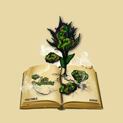 Slow (feat. GizRok)