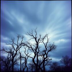 The Tri-State Tornado  (Reverb)