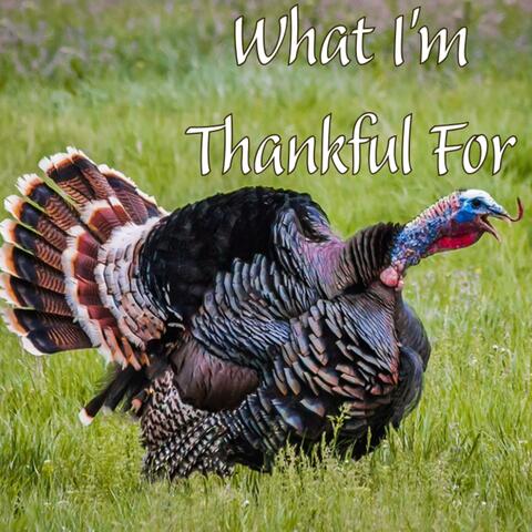 What I'm Thankful For