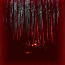 Chile Wildfires Reverb