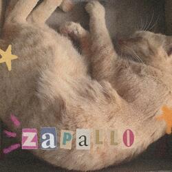 zapayo (demo)