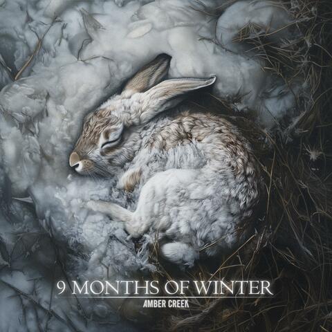 9 Months Of Winter