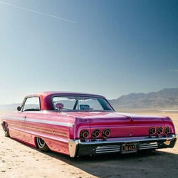 Venus LoneStar, Only Dude!