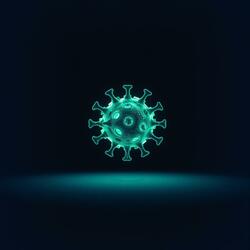 Monkeypox Global Outbreak Reverb