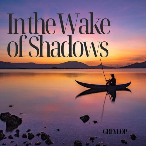 In the Wake of Shadows