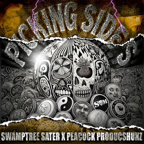 Picking Sides (feat. Peacock Producshunz)