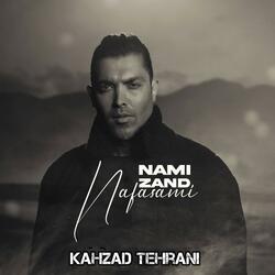 Nafasmi (feat. Nami Zand)