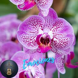 Lloro y no es por ti