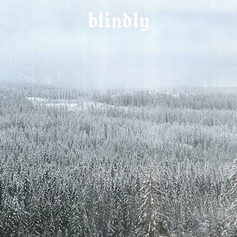 BLINDLY