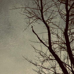 Voices & Whispers