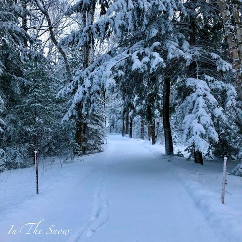 In The Snow (Acoustic Version)
