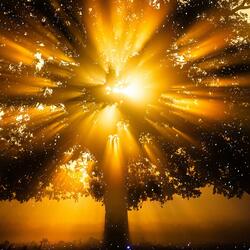 Summer Love (Demo Version)