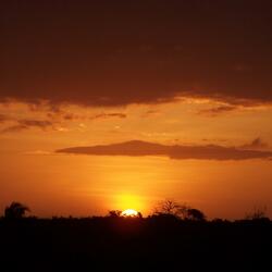 Una Libellula Nelle Ali Del Mare