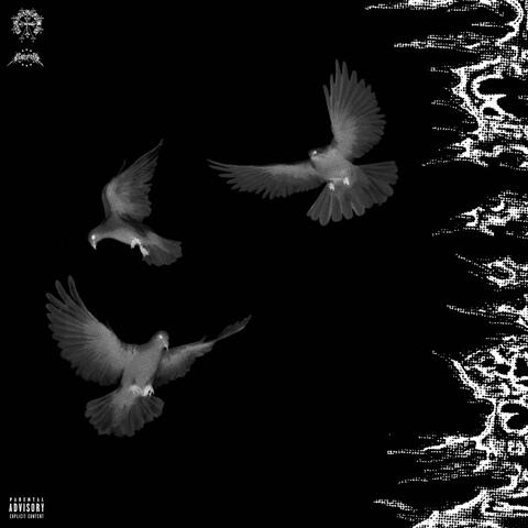 Groupie (feat. Hella Sketchy)