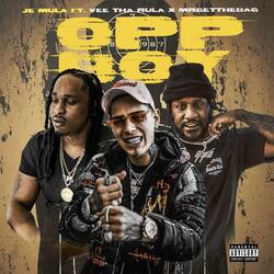 Opp Boy (feat. Vee Tha Rula & MrGetTheBag) (Radio Edit)