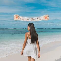 Chase The Sun (The Skies They Paint A Twilight Hue Edit)
