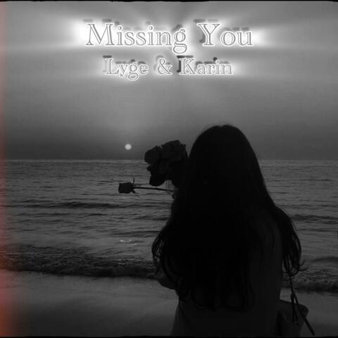 Missing You (feat. Karin)