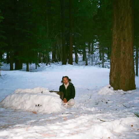 in the bleak midwinter