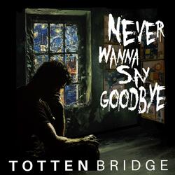 Never Wanna Say Goodbye