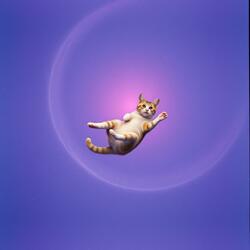 Meow meow, purr purr