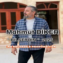 Bilseydin (2025)