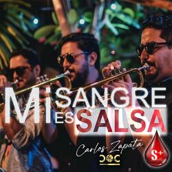 MI SANGRE ES SALSA (Salsa)