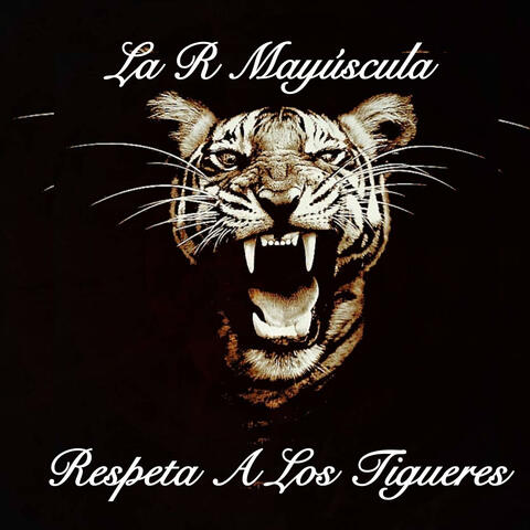 Respeta A Los Tigueres