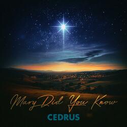 Mary Did You Know (feat. Amanda Porter, Angie Davids, Elise Cok & Sara Parzygnat)