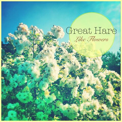 Like Flowers