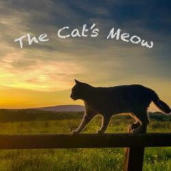 Long Way Down The Line