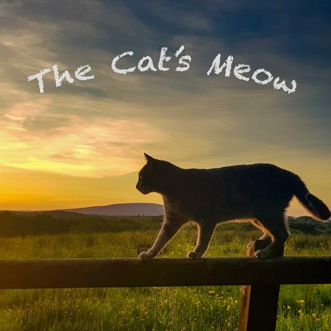 The Cat's Meow