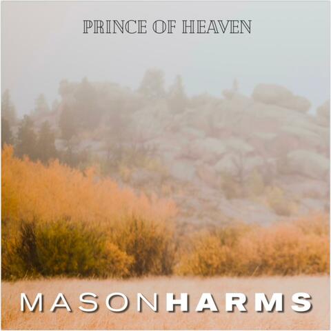 Prince of Heaven (feat. Anson Stoller) [Strings Version]
